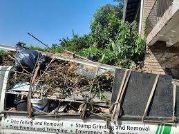Best Office Cleanout  in Edgemoor, DE