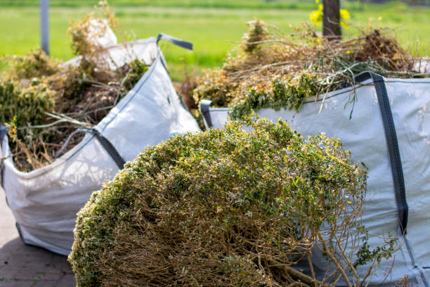 Best Demolition Debris Removal  in Edgemoor, DE